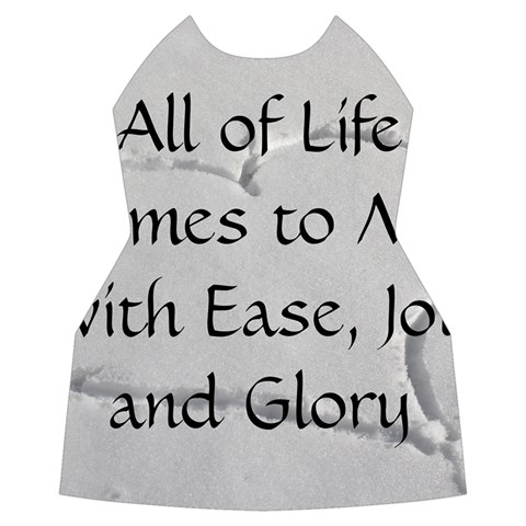 All of Life Come to Me with Ease Joy And Glory 2 Women s Long Sleeve Raglan Tee from ArtsNow.com Front