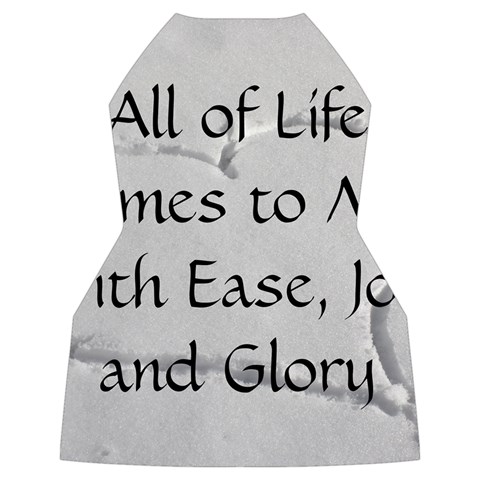 All of Life Come to Me with Ease Joy And Glory 2 Women s Long Sleeve Raglan Tee from ArtsNow.com Back