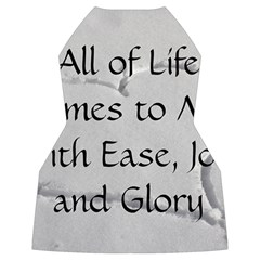 All of Life Come to Me with Ease Joy And Glory 2 Women s Long Sleeve Raglan Tee from ArtsNow.com Back
