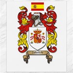 Zabaeleche Coat of Arm Canvas 20  x 24 