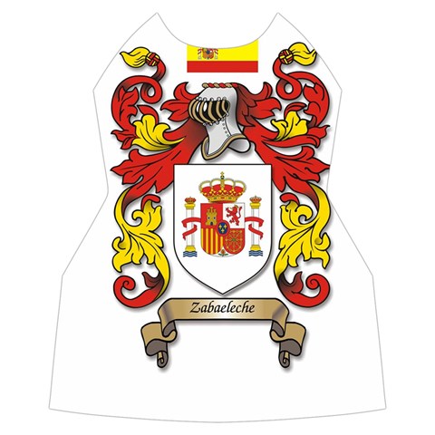 Zabaeleche Coat of Arm Women s Long Sleeve Raglan Tee from ArtsNow.com Front