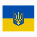Flag Of Ukraine Coat Of Arms Small Glasses Cloth