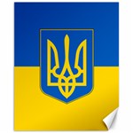 Flag Of Ukraine Coat Of Arms Canvas 11  x 14 