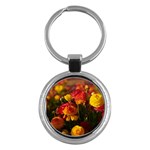 Vered-caspi-orlqbmy1om8-unsplash Key Chain (Round)