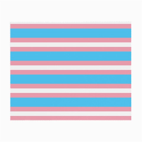 Trans Flag Stripes Small Glasses Cloth from ArtsNow.com Front
