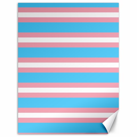 Trans Flag Stripes Canvas 18  x 24  from ArtsNow.com 17.8 x23.08  Canvas - 1