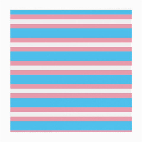 Trans Flag Stripes Medium Glasses Cloth from ArtsNow.com Front