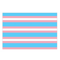 Trans Flag Stripes Waist Pouch (Small) from ArtsNow.com Loop