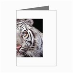 white tiger Mini Greeting Card