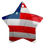 usa soccer Ornament (Star)