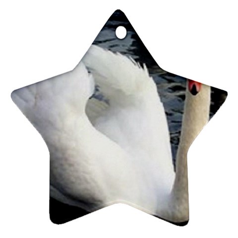 swan Ornament (Star) from ArtsNow.com Front