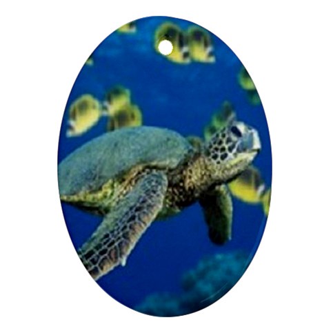 sea turtle Ornament (Oval) from ArtsNow.com Front