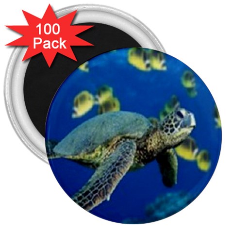 sea turtle 3  Magnet (100 pack) from ArtsNow.com Front