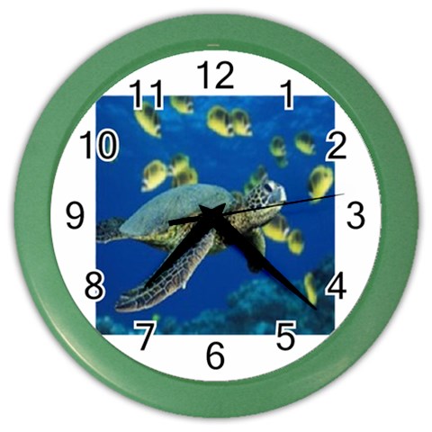sea turtle Color Wall Clock from ArtsNow.com Front