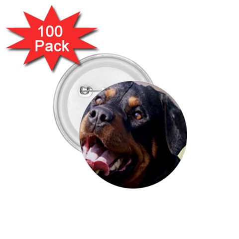 rottweiler 1.75  Button (100 pack)  from ArtsNow.com Front