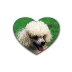 poodle Heart Coaster (4 pack)