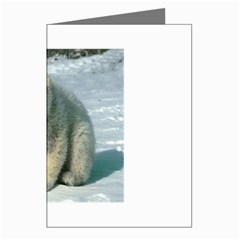 polar Greeting Cards (Pkg of 8) from ArtsNow.com Left