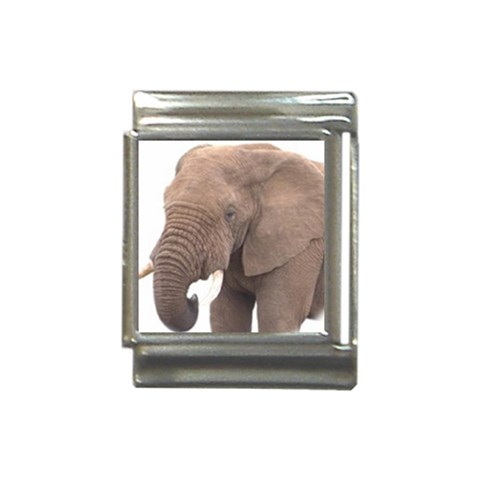 elephant Italian Charm (13mm) from ArtsNow.com Front