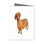 daschund Mini Greeting Cards (Pkg of 8)