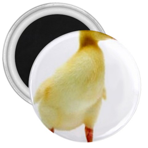 chick duck duckling 3  Magnet from ArtsNow.com Front