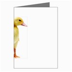 chick duck duckling Greeting Cards (Pkg of 8)