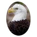 bald eagle Ornament (Oval)