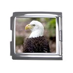bald eagle Mega Link Italian Charm (18mm)