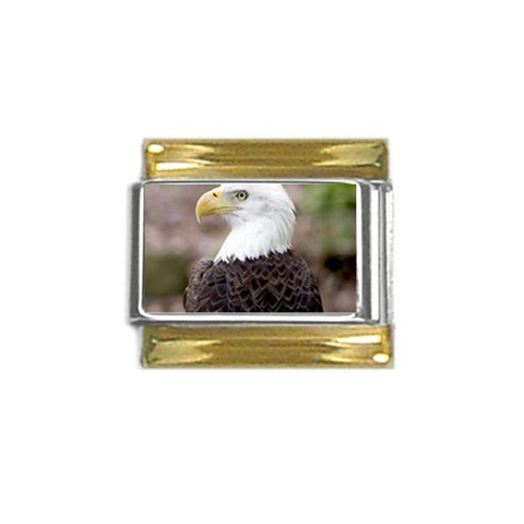 bald eagle Gold Trim Italian Charm (9mm) from ArtsNow.com Front