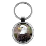 bald eagle Key Chain (Round)