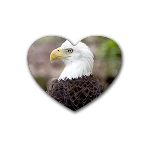 bald eagle Heart Coaster (4 pack) from ArtsNow.com Front
