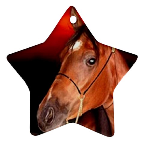 arabian horse Ornament (Star) from ArtsNow.com Front