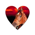 arabian horse Magnet (Heart)