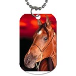 arabian horse Dog Tag (One Side)