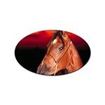 arabian horse Sticker Oval (100 pack)