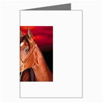 arabian horse Greeting Cards (Pkg of 8)