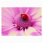 Ladybug On a Flower Glasses Cloth (Large)