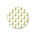 Succulent Vases  Magnet 3  (Round)