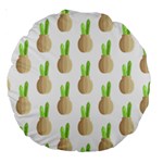 Succulent Vases  Large 18  Premium Round Cushion 