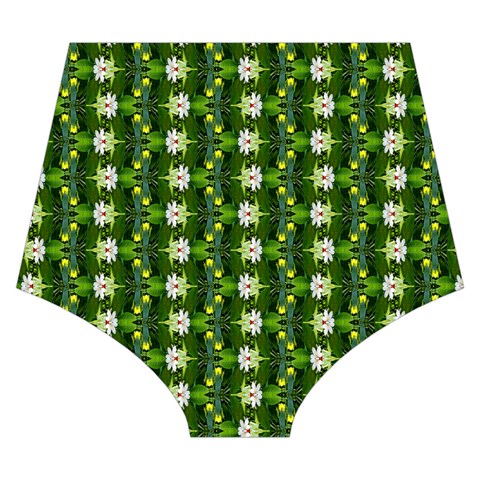 Wowpatterns Back