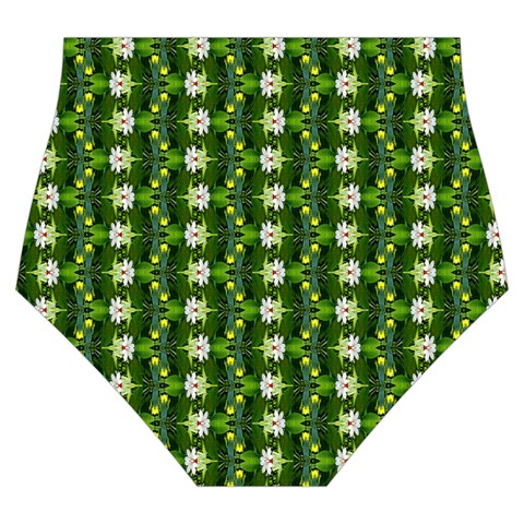 Wowpatterns Bottom Back