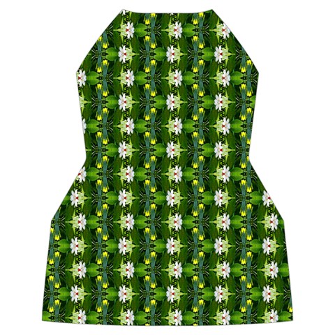 Wowpatterns Back