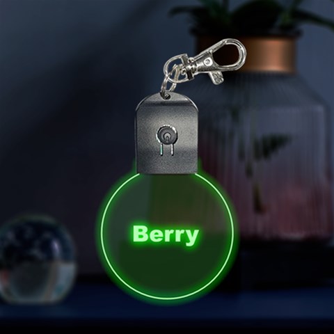 1 LED Key Chain from ArtsNow.com Front