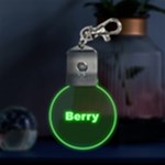 1 LED Key Chain
