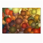 Flower Flora Decoration Pattern Drawing Floral Postcard 4 x 6  (Pkg of 10)