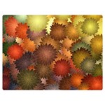 Flower Flora Decoration Pattern Drawing Floral One Side Premium Plush Fleece Blanket (Extra Small)