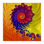 Fractal Spiral Bright Colors Medium Glasses Cloth