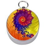 Fractal Spiral Bright Colors Silver Compasses