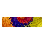 Fractal Spiral Bright Colors Banner and Sign 4  x 1 