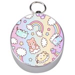 Pusheen Carebears Bears Cat Colorful Cute Pastel Pattern Silver Compasses