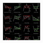 Chart Pattern Medium Glasses Cloth (2 Sides)